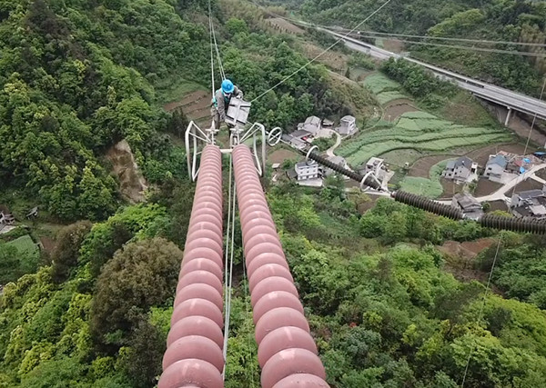 奧博斯檢測